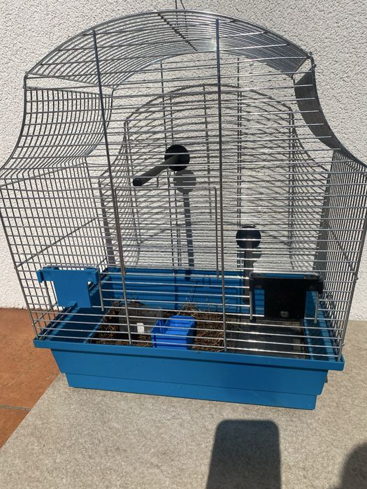 Klatka dla ptaszka papugi niebieska