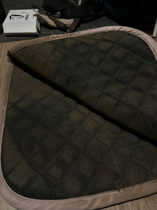 czaprak horze różowy