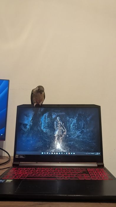 Топовий acer nitro 5 an515-57