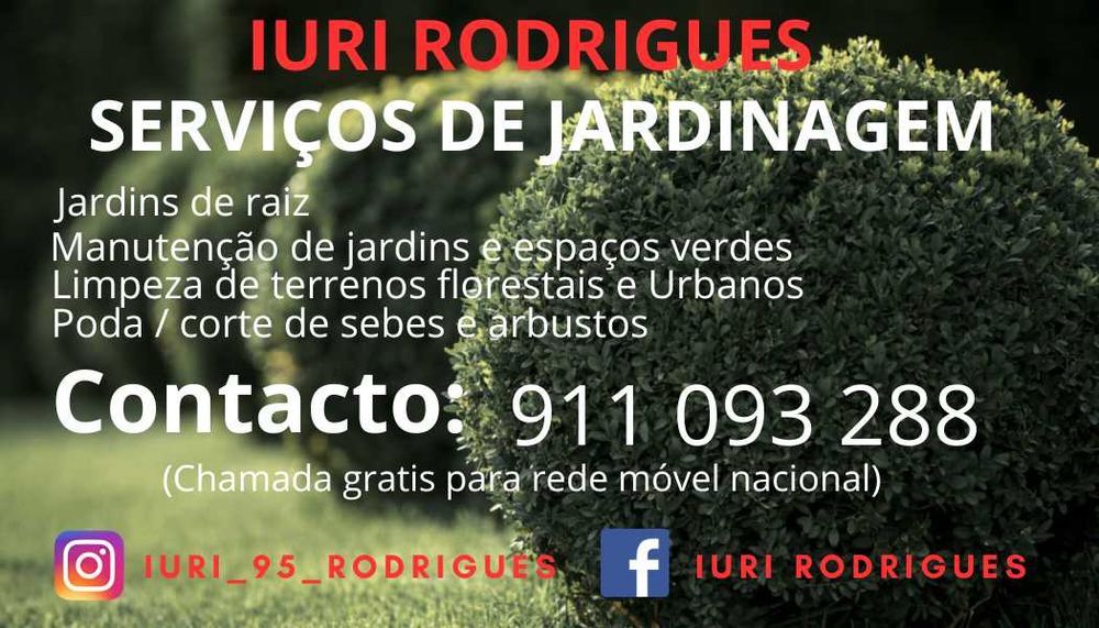 serviços de jardinagem Agueda e arredores