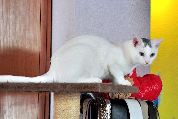 Yuki i Leo - przesympatyczni bracia :)