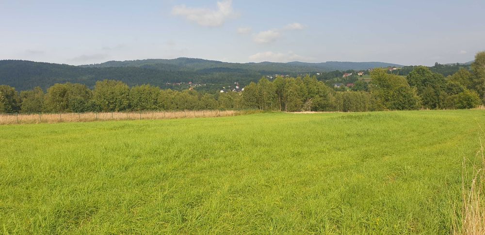Sprzedam widokową działkę 20 arów - Gilowice koło Żywca