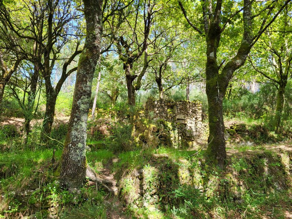 Terreno no Gerês com Ruína e Mina 3 Artigos 8.100m²