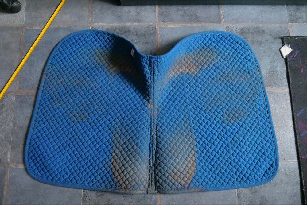 Trzy czapraki wszechstronne