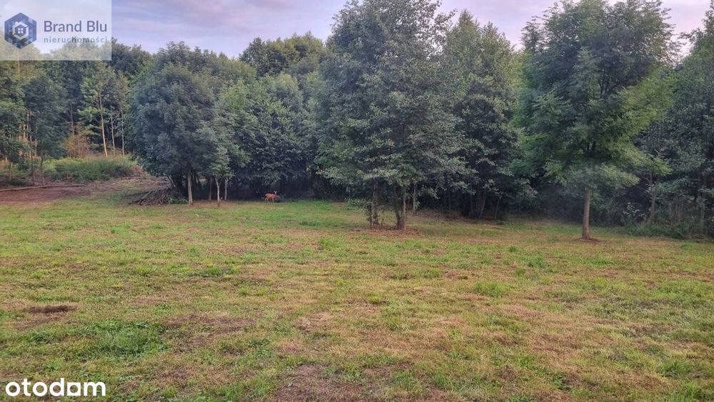 Działka budowlana 1000m² las, góry
