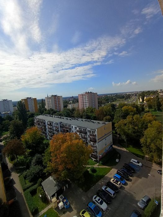 Zdjęcie 8