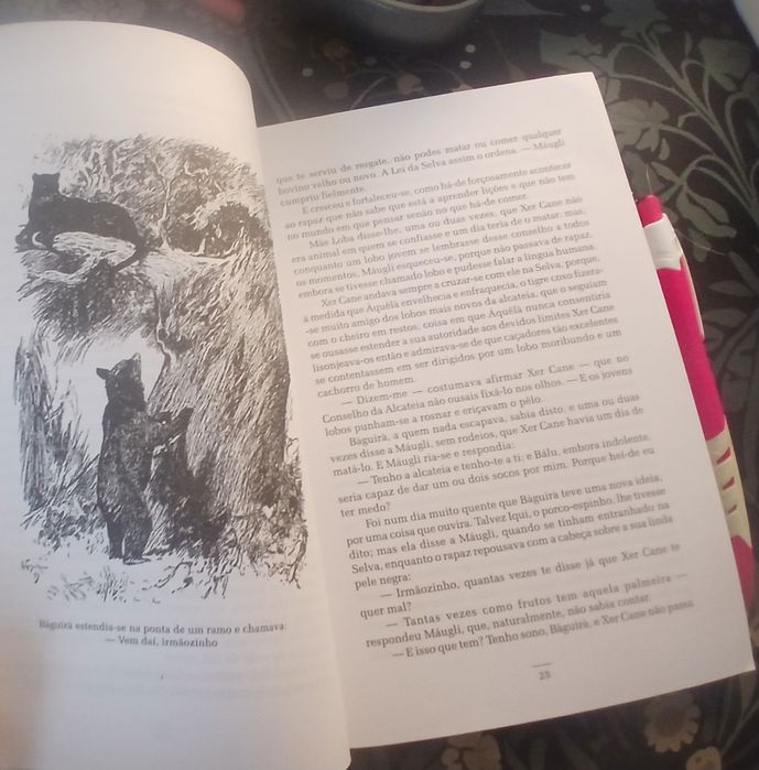 O Livro da Selva de Rudyard Kipling