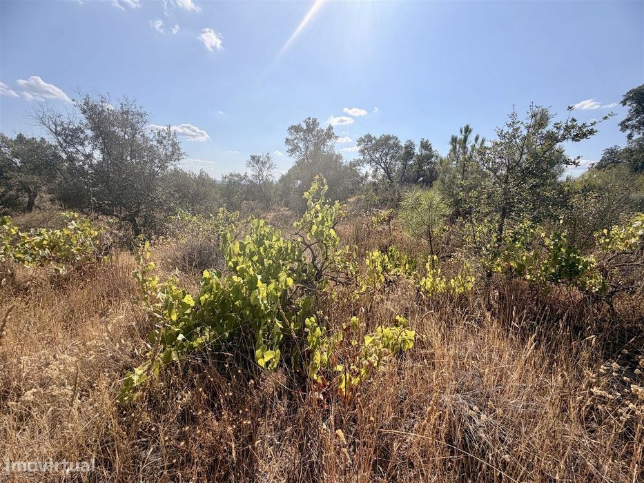 Terreno Rústico  Venda em Freixial e Juncal do Campo,Castelo Branco