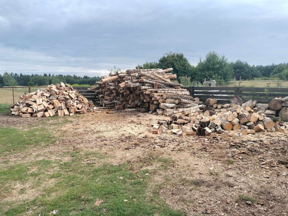 Brzoza opałowa 230zł