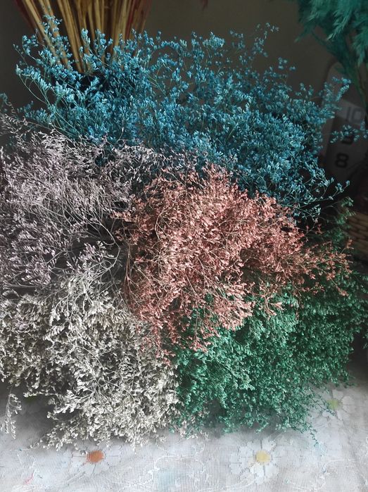 Сухоцветы  квіти та трави    Сухоцвіти