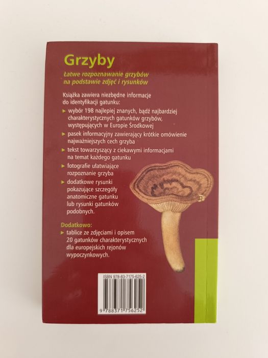 Grzyby przewodnik rozpoznawanie