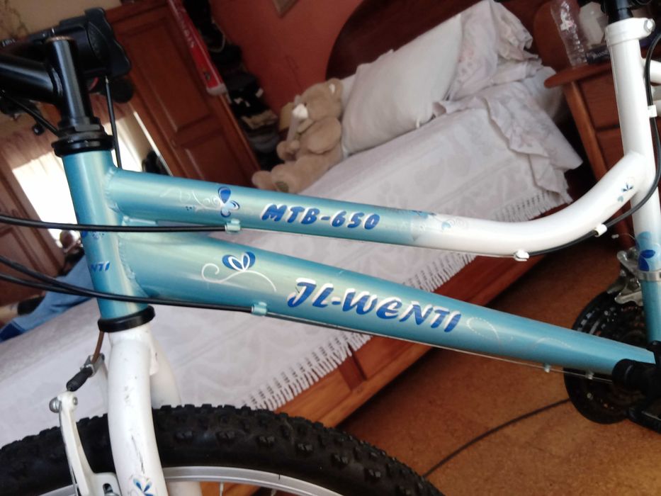 Bicicleta com rolo de treino