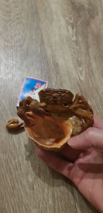 Сувениры статуэтки магнит  подсвечник домовой краб  ракушки  дешево ил