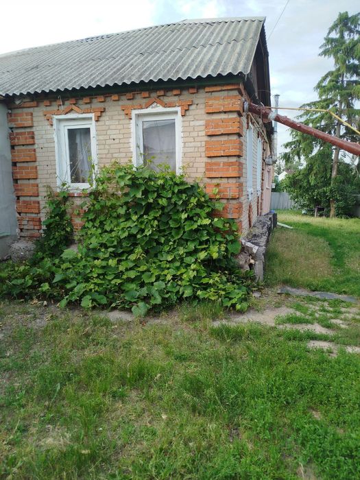 Продам 1/2 дома в Солоницевке