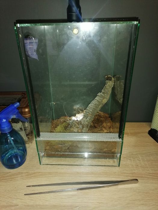 Terrarium  szklane gilotyna