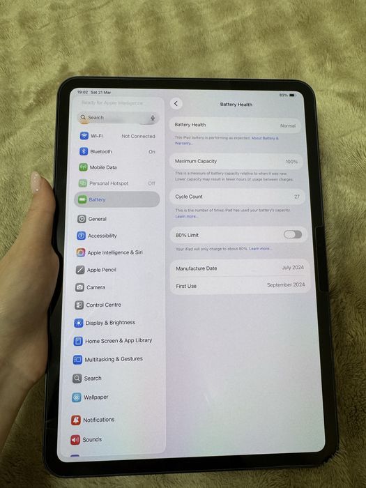 Ipad pro 11 M4 2024 256gb LTE 100% акумулятор