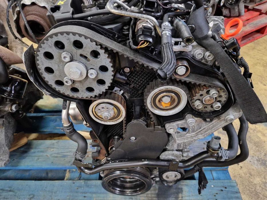 Motor usado CAY VW GOLF VI 6 1.6 TDI 105CV CAYC 3 Tubos SEAT AUDI
