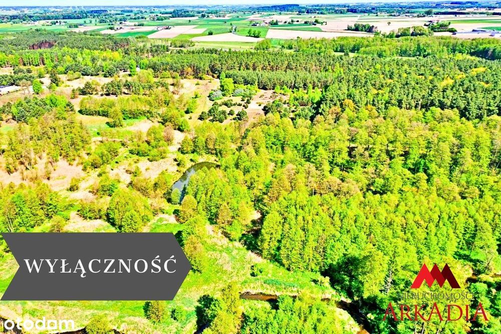 Działka Maliszewo/Lipno