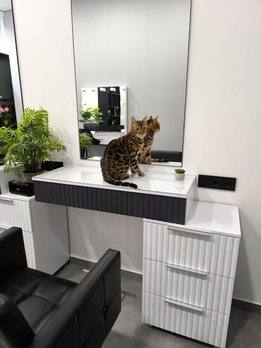 Оренда робочого місця для перукаря, майстра з манікюру, б'юті-майстра