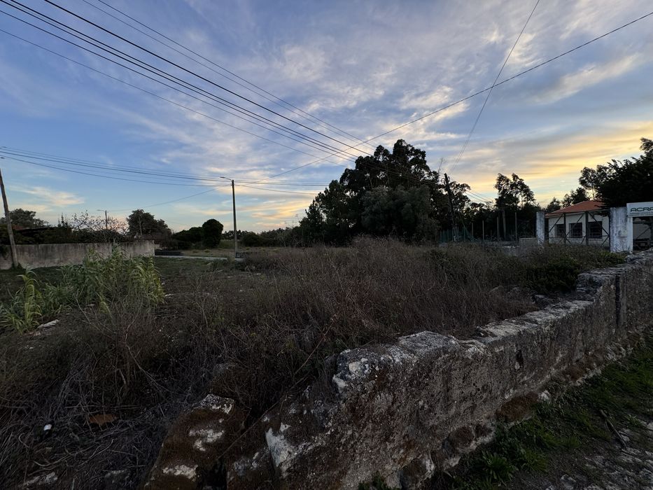Terreno para Venda em Sosa, Vagos