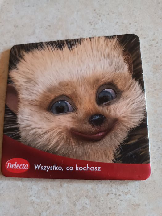 Podkładki z korka Jeżyki
