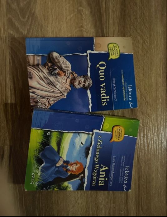 Lektury szkolne 2 za 1