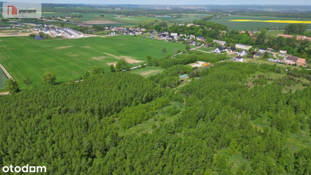 Działka Borcz 3069 m2 Mpzp