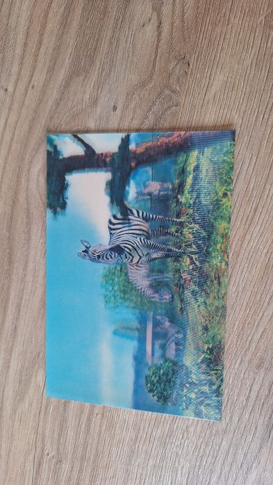 Pocztówka 3D trójwymiarowa zebra