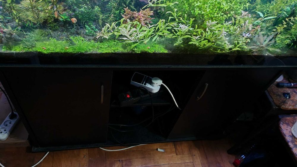 Продам аквариум 250л с тумбой: 3 000 грн. - Акваріумістика Харків на Olx