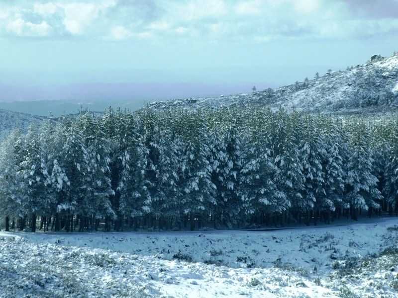 Serra da Estrela  - GOUVEIA