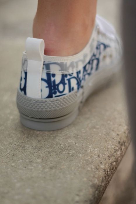 Dior Low Grey/Blue