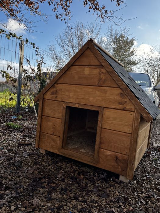 Buda dla psa na wymiar