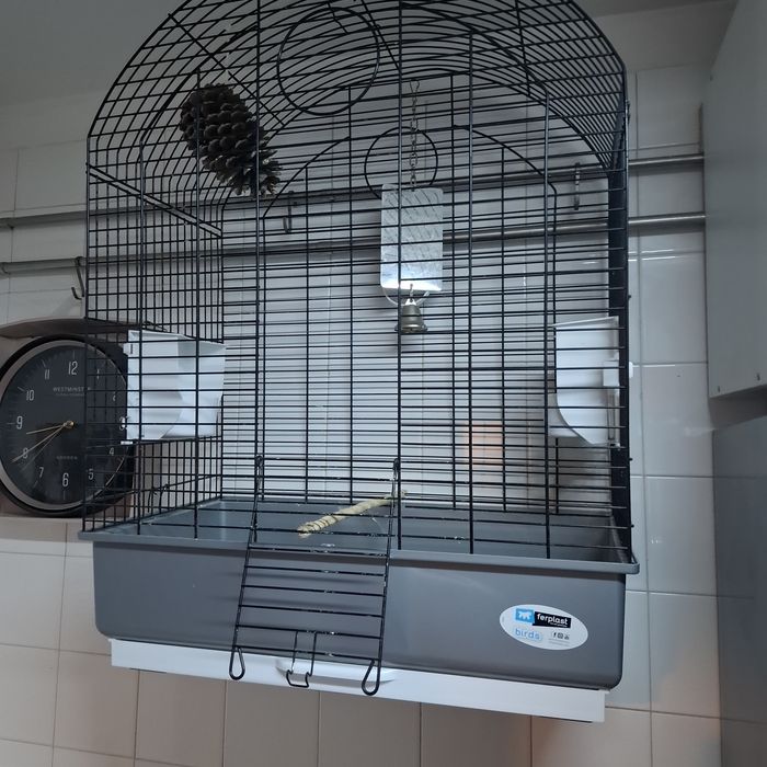 Gaiola para pássaro
