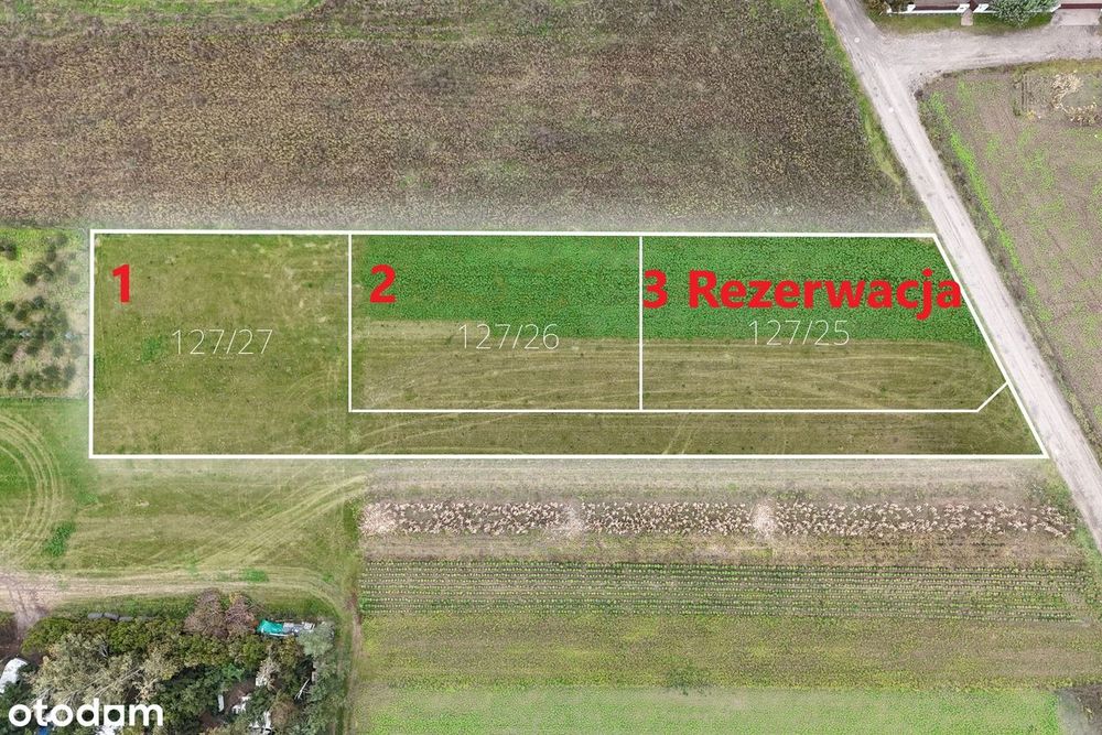 3 duże działki na sprzedaż w Krzyszkowie gm. Rokietnica