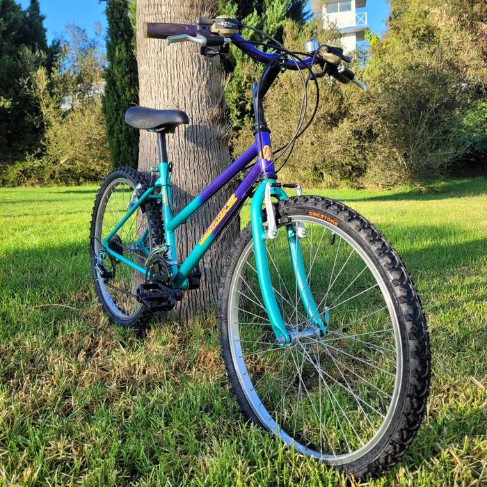 Bicicleta LW aro 24, ótimo estado