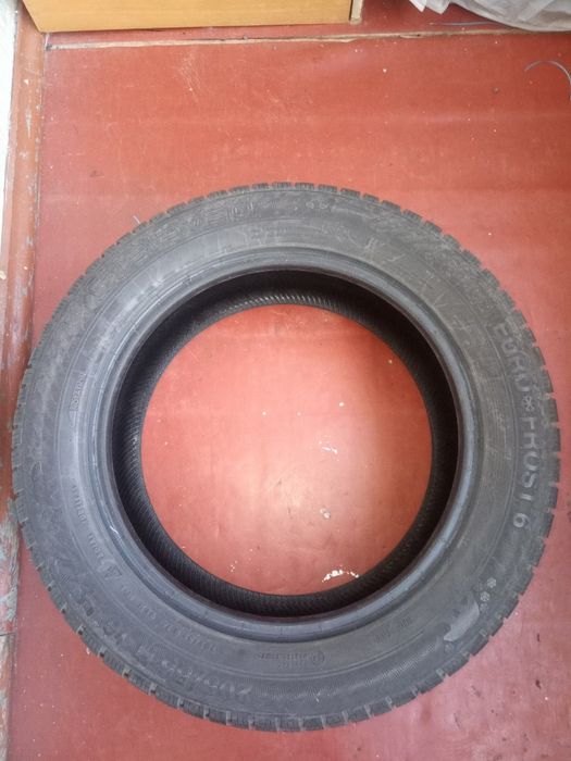 Зимові шини Gislaved euro frost 6