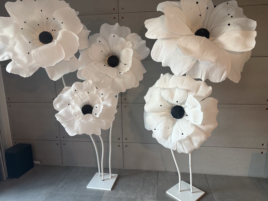 Anemony kwiaty z krepiny