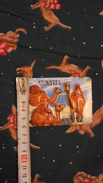 Magnes Tunisia Tunezja wielbłądy