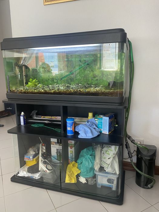 AQUÁRIO 100 litros completamente equipado com Móvel