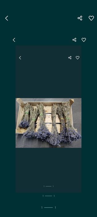 Lawenda suszona 6 wiązek