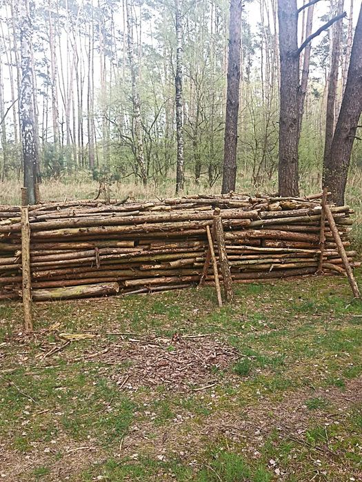 Drewno sezonowane sosnowe