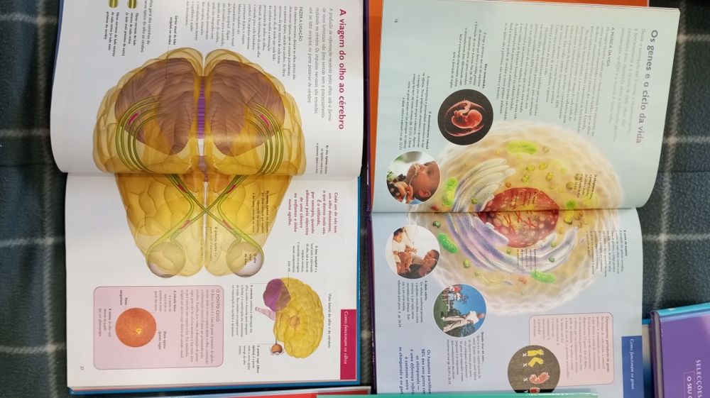 Coleção "o seu corpo, a sua saúde"