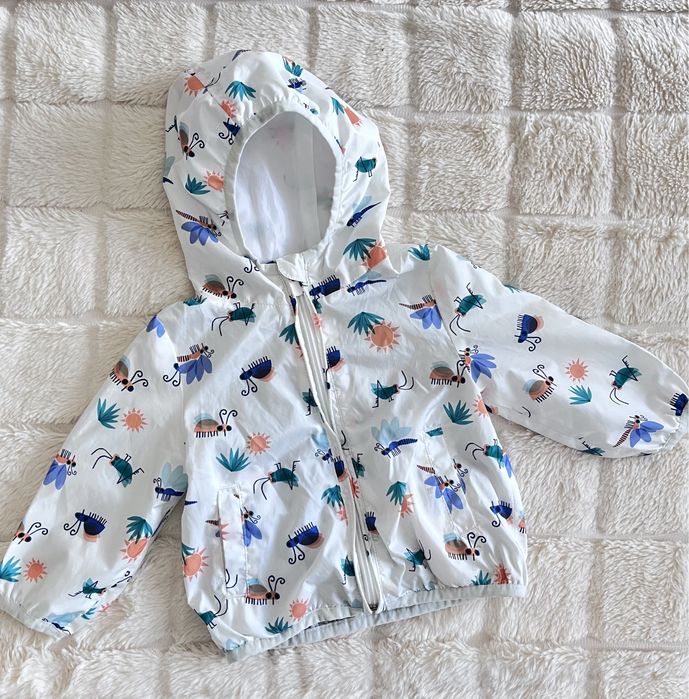 Вітровочка дитяча