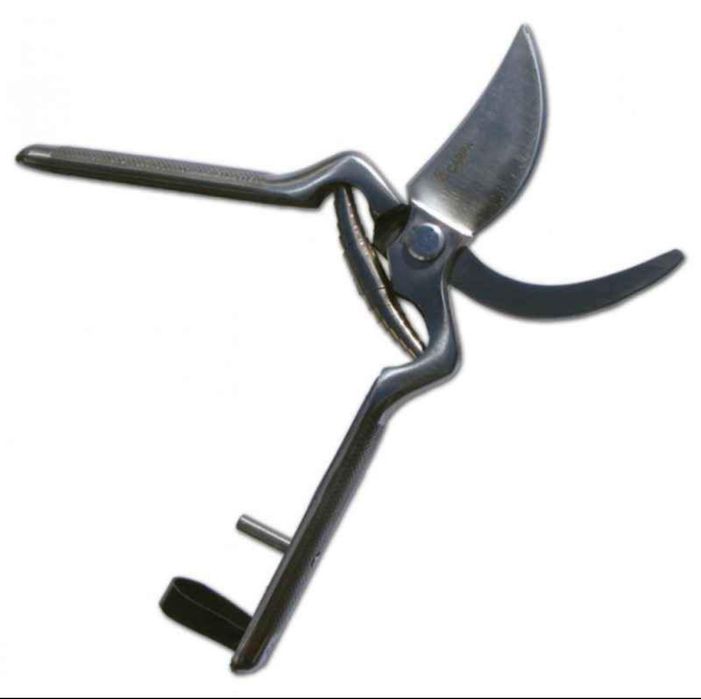 Tesouras de inox
