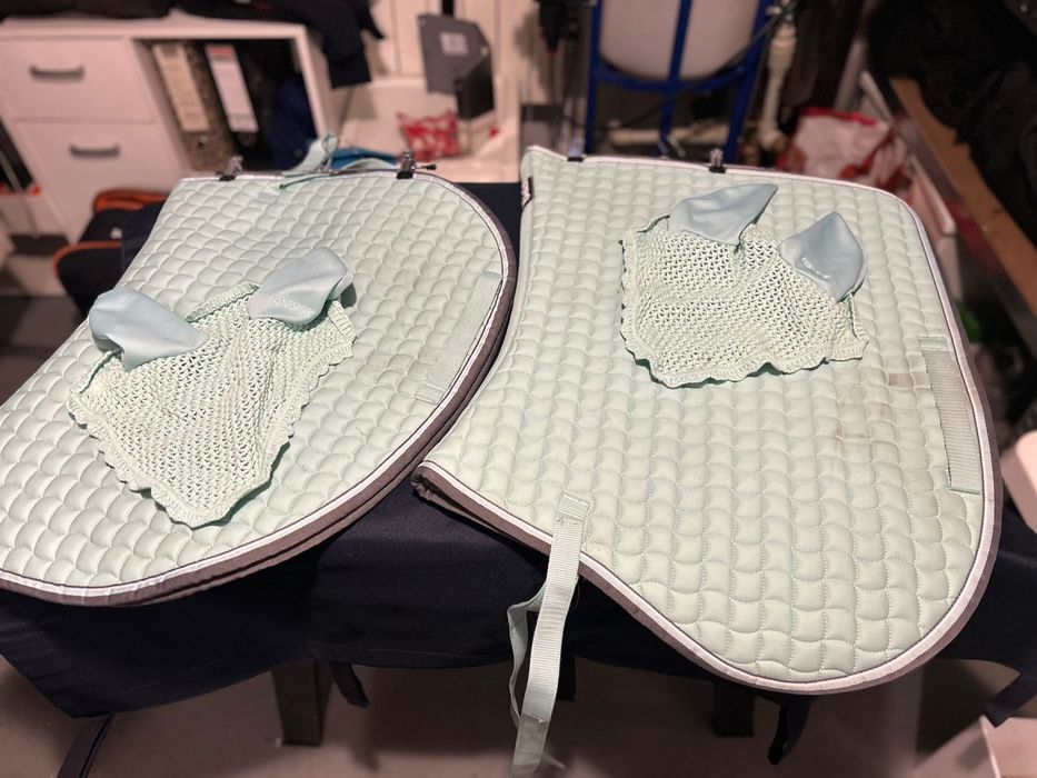 Czaprak skokowy seledynowy .. dwa kształty i rozmiary