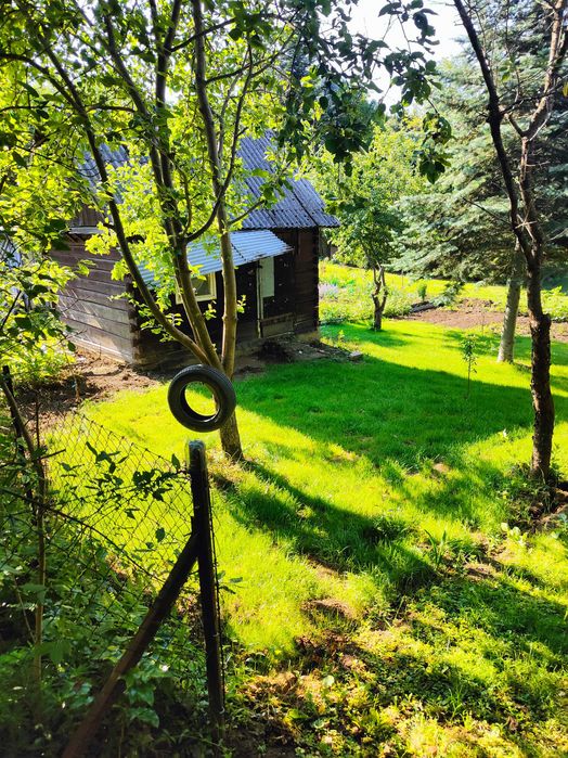 Działka ROD Uniszowice - View 5