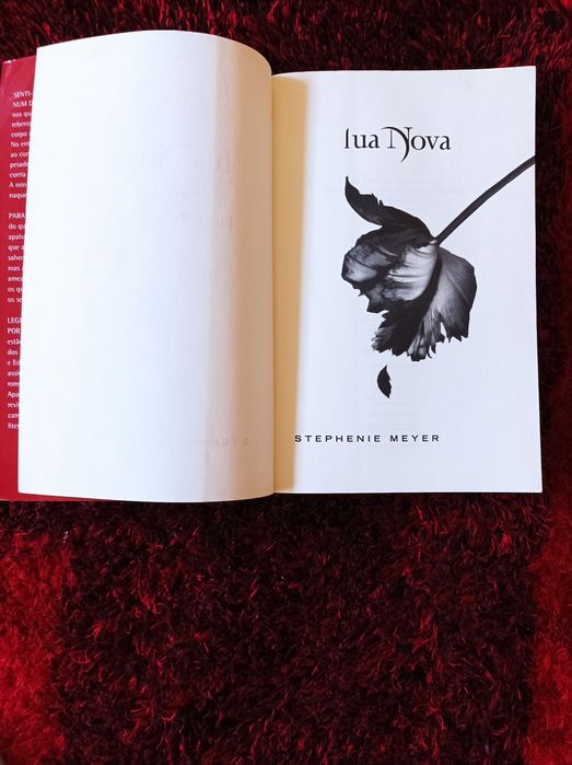 Livro Lua Nova Stephenie meyer
