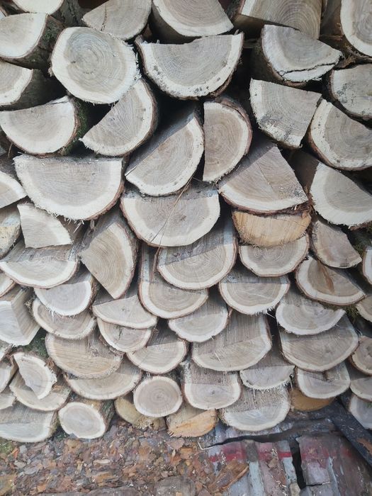 Drewno kominkowe doąb