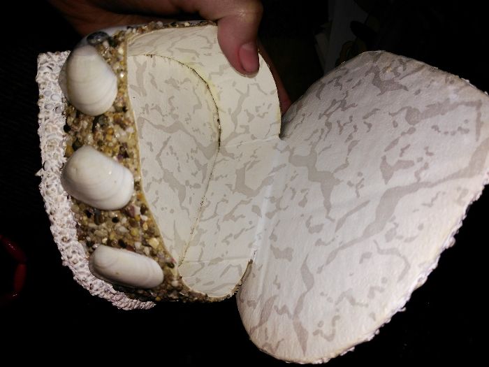 Оригенальная шкатулки