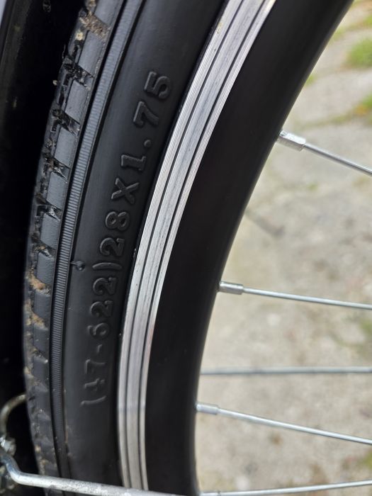 Rower damski Indiana .